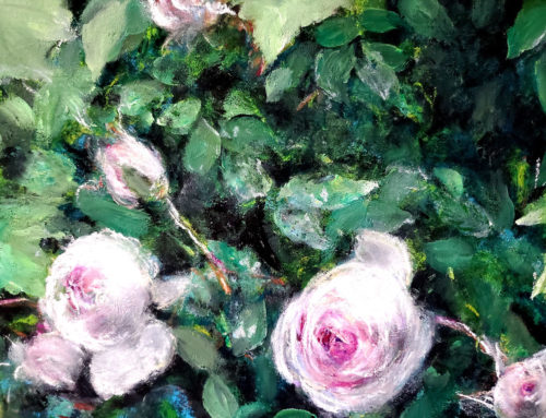 Cabbage Roses and Ivy