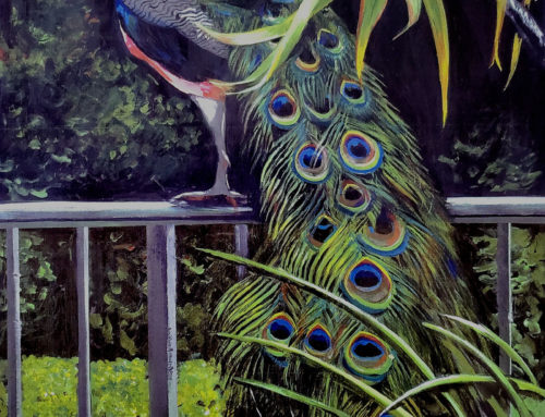 Peacock on Fence