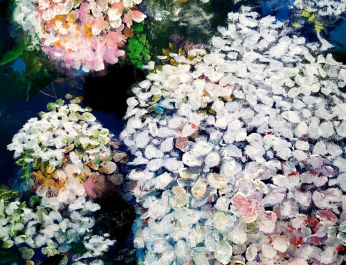 White Hydrangeas II